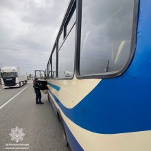 busz