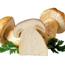 varganya