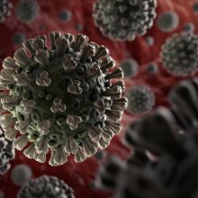virus